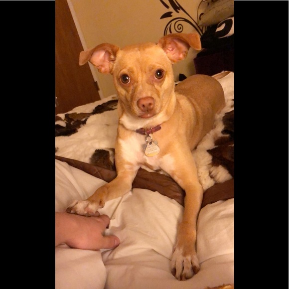 our home owners - Picture 6 of 7